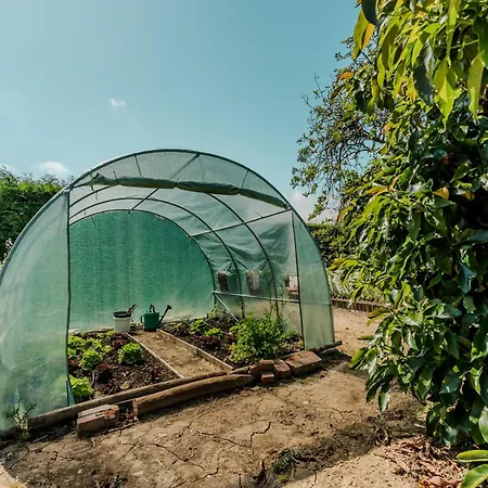 Páteo Sagaipo Lourinhã